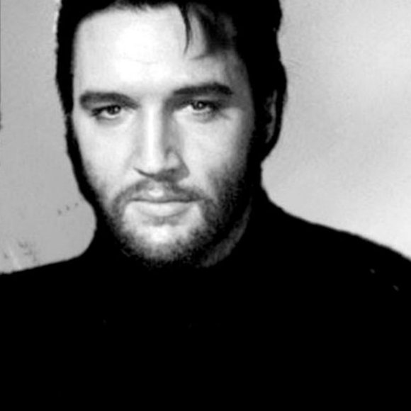 The Illustrated Elvis by W.A. Harbinson Magazine - Picture 6 of 16